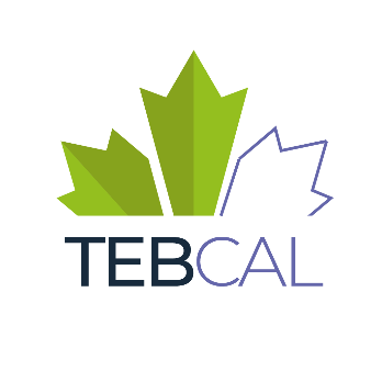 TebCal Corp